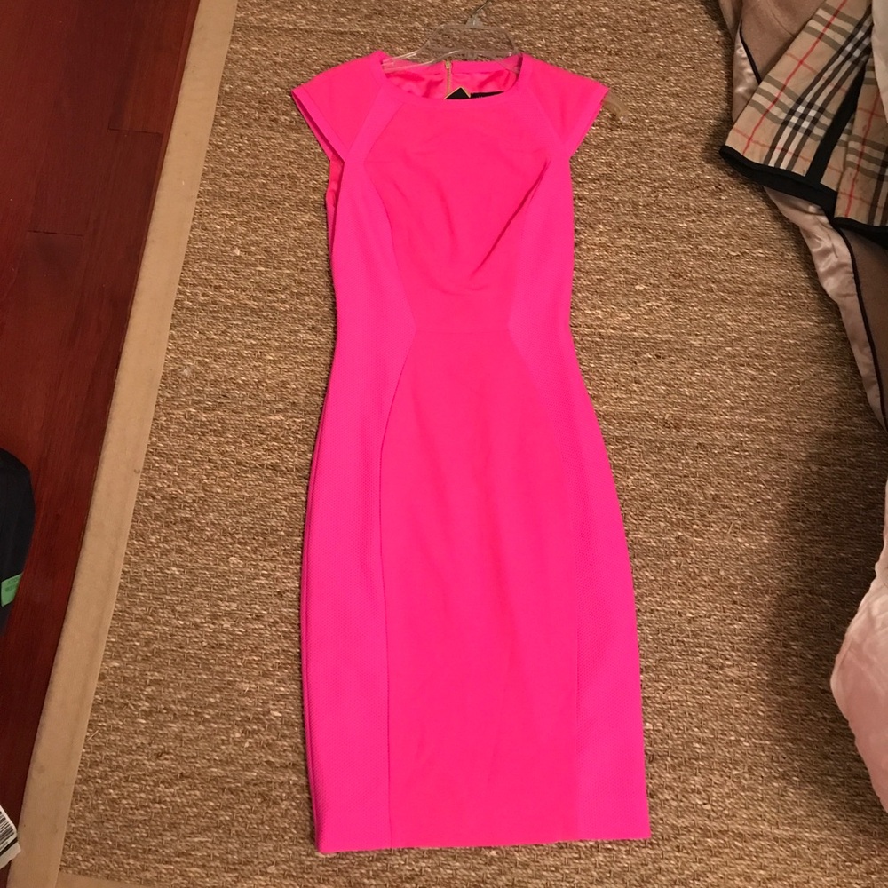 Ted Baker London Pink Dress